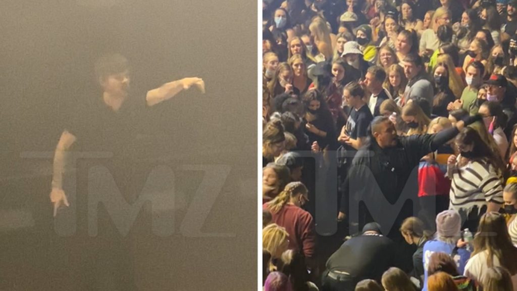 Louis Tomlinson stops showing for sick fans in the audience