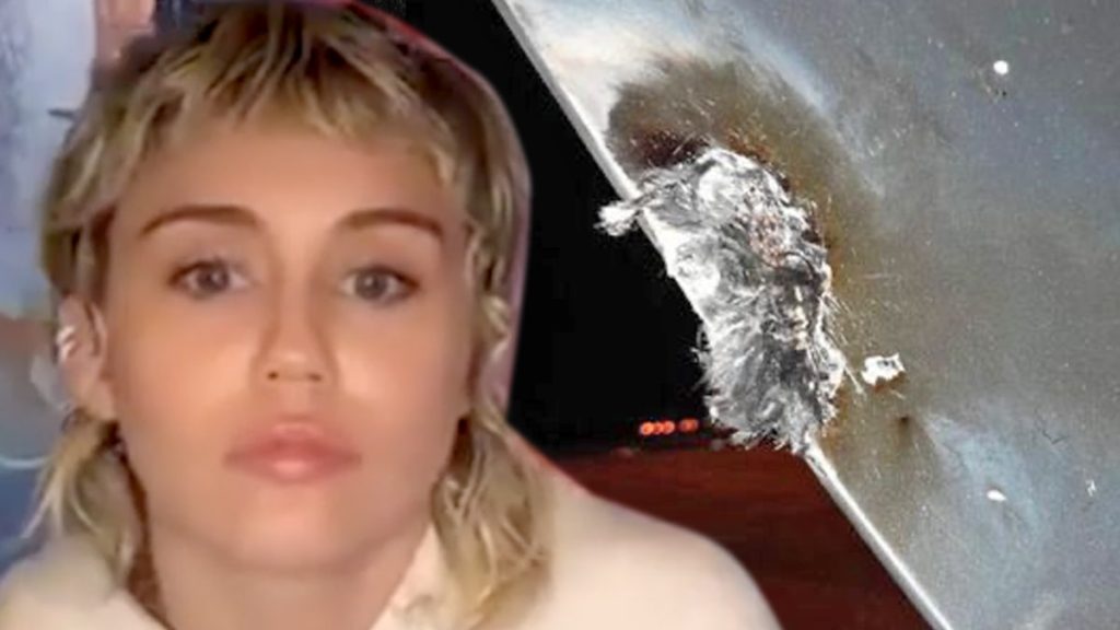 Miley Cyrus' plane collides and is damaged by lightning, making an emergency landing