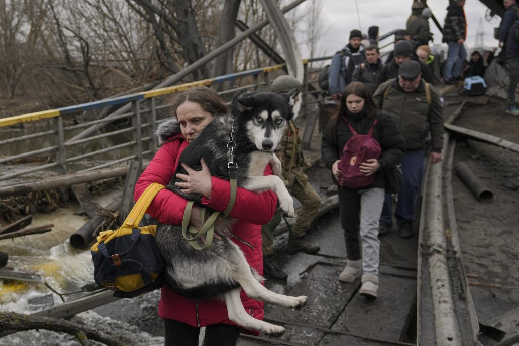 AP PHOTOS: Ukrainians fleeing war 'can't leave' pets behind