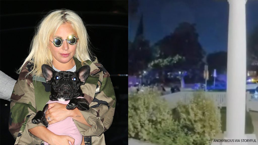 Lady Gaga's dog walker talks after a man was arrested for accidentally shooting after his release from prison