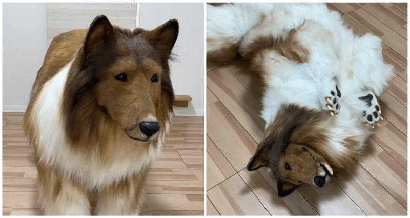 A Japanese man spends $15,700 on a dog costume to fulfill his lifelong dream of turning into an animal
