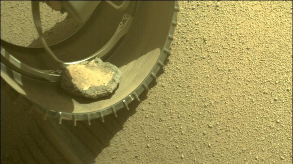 NASA's Perseverance rover on Mars has its 'rock pet' rover