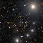 Unusual fossil galaxy discovered on the outskirts of Andromeda – could reveal the history of the universe