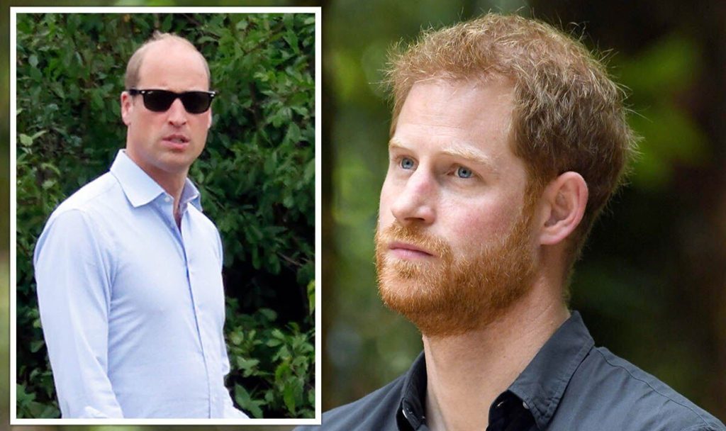 Harry plans to rewrite the palace rule book after convincing himself that William is jealous |  Royal |  News