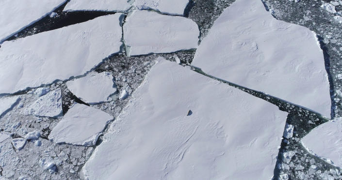 A lone seal on an ice floe in front of the Eastern Ice Shelf in Thwaites, Antarctica in 2019 (Cover Images via Zuma Press)