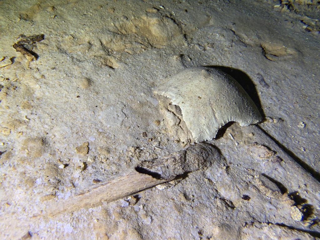 Ancient skeleton found in Mexico cave threatened by train