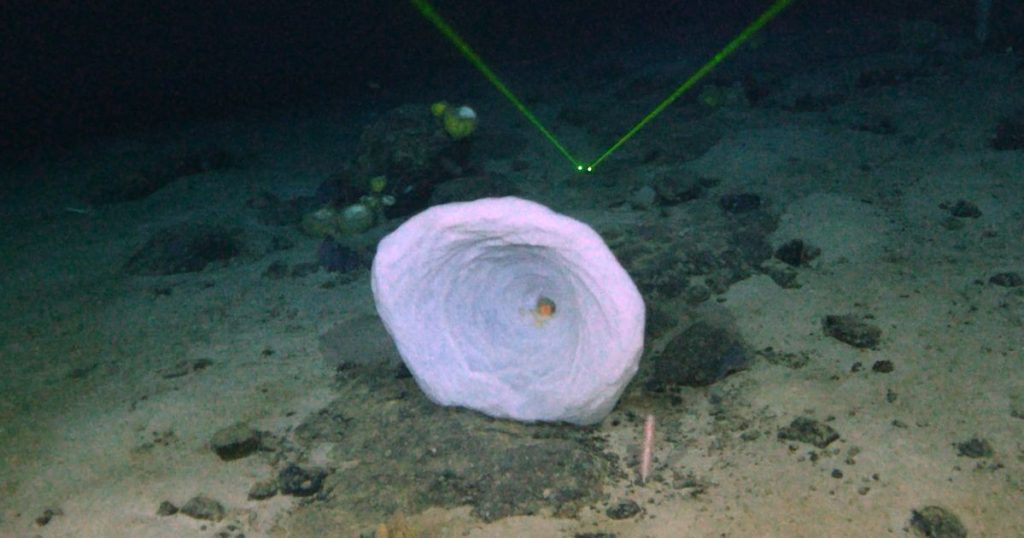 The discovery of a mysterious "large object" near the wreckage of the Titanic has finally been identified