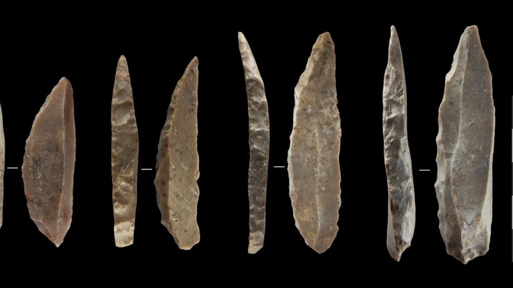 Neanderthals, humans coexisted in Europe for more than 2,000 years: a study