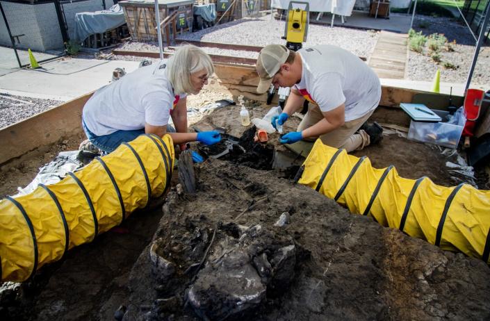 Two people kneeling on the ground carefully excavated fossils