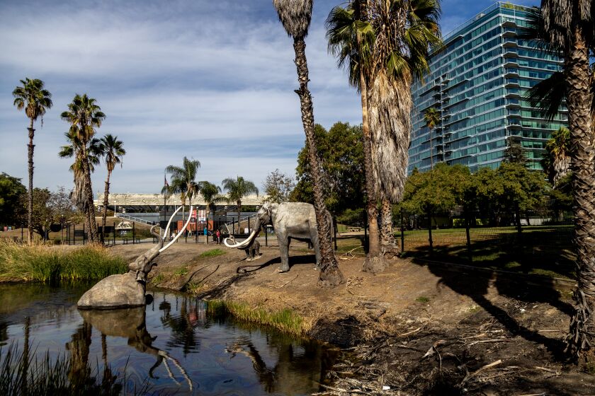 The La Brea Tar Pits are full of mysteries.  Here are three of the most baffling