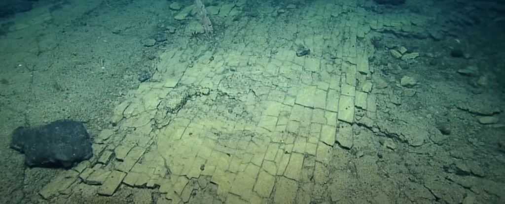 Scientists find 'yellow brick road' in never-before-seen patch of Pacific Ocean: ScienceAlert